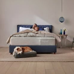 Casper Dog Bed