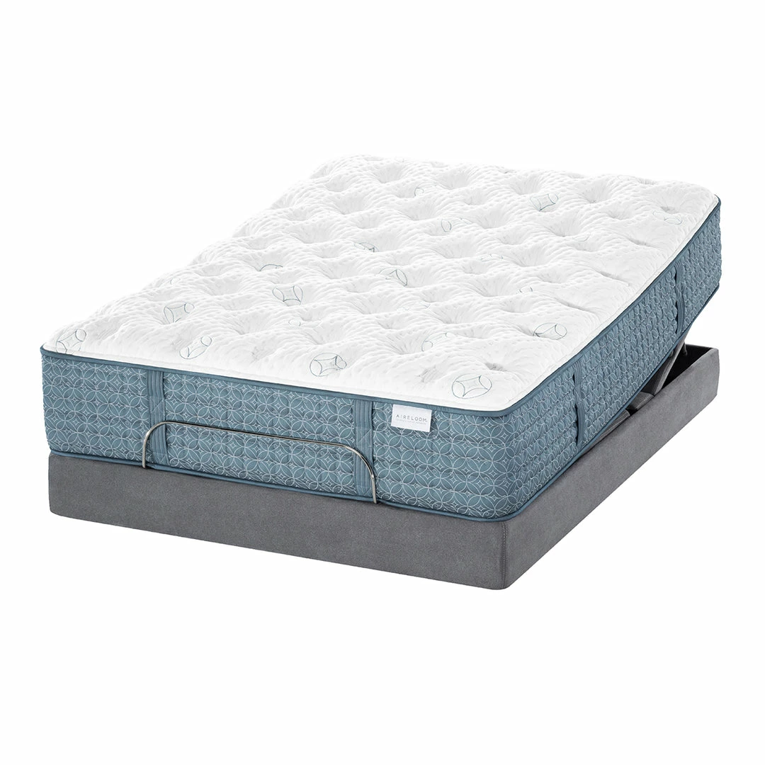 Coupon ๐ Aireloom Duet Luxury Firm Mattress Twin ๐ 5 Aireloom Duet Luxury Firm Mattress Twin