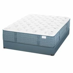New โจ Aireloom Etude Extra Firm Mattress ๐ 9 Aireloom Etude Extra Firm Mattress