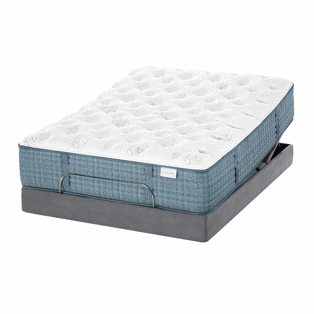 New โจ Aireloom Etude Extra Firm Mattress ๐ 6 Aireloom Etude Extra Firm Mattress