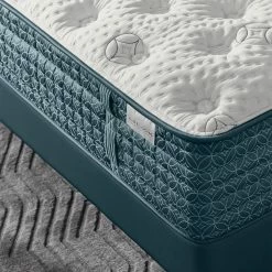 Aireloom Etude Extra Firm Mattress