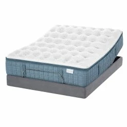 Aireloom Opus Luxury Firm Mattress Twin