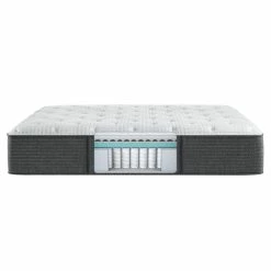 Beautyrest Silver Plush Mattress Twin