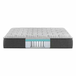 New 👏 Beautyrest Reach Delmont Plush Twin 🔥 11 Beautyrest Reach Delmont Plush Twin