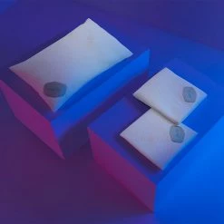 Bedgear 5.0 Dri-Tec Air-X Pillow Protector Mattress And Pillow Protector