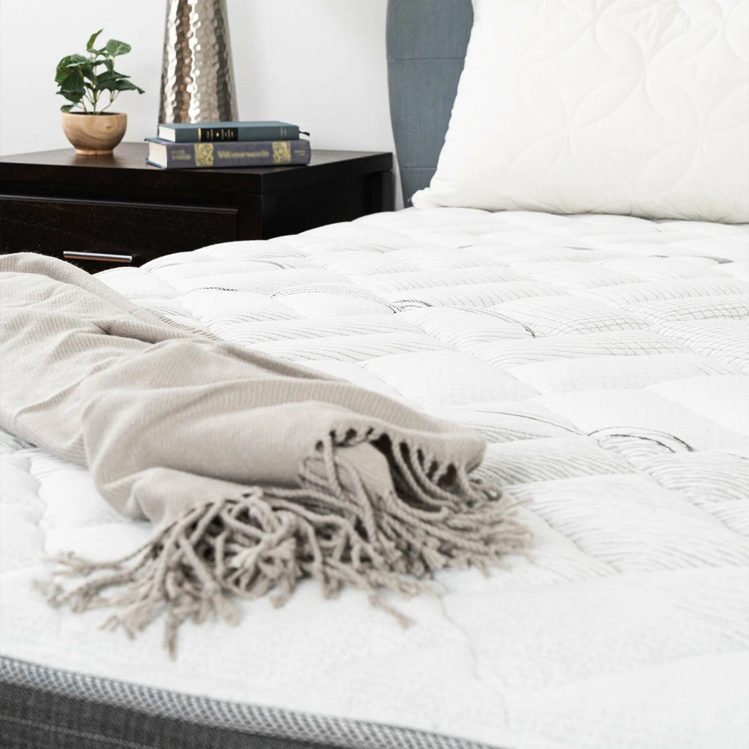 Brand new π Cheswick Manor Glenmont Firm 𧨠5 Cheswick Manor Glenmont Firm