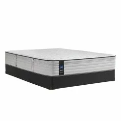 Budget π Sealy Idlewild Firm Mattress Twin βοΈ 13 Sealy Idlewild Firm Mattress Twin