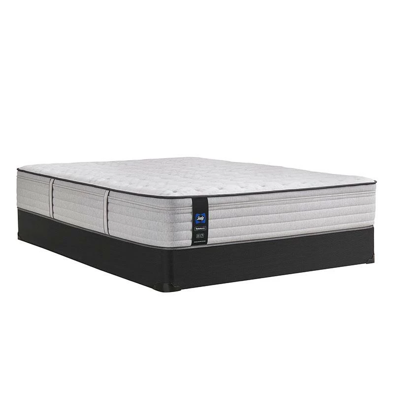 Budget π Sealy Idlewild Firm Mattress Twin βοΈ 7 Sealy Idlewild Firm Mattress Twin
