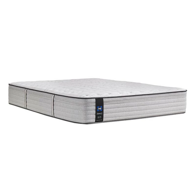 Budget π Sealy Idlewild Firm Mattress Twin βοΈ 5 Sealy Idlewild Firm Mattress Twin