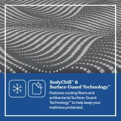 Sealy Brenham Soft Mattress