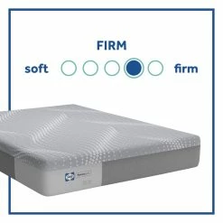 Sealy Arletta Firm Foam Mattress Memory Foam