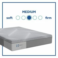 Sealy Barisan Medium Foam Mattress Memory Foam