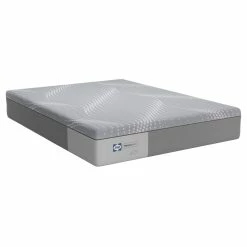 Sealy Barisan Medium Foam Mattress Memory Foam