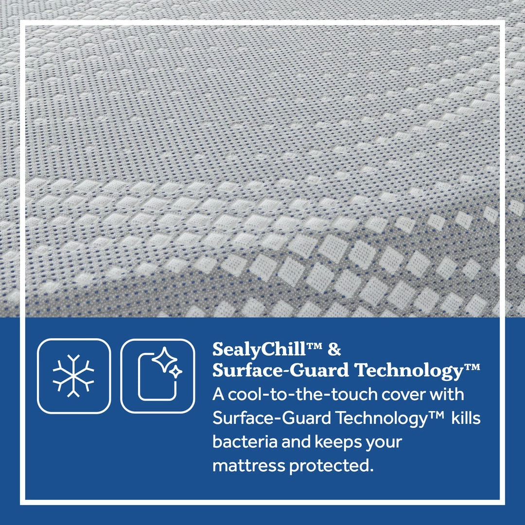 Wholesale ⌛ Sealy Draycott Soft Foam Mattress 👏 6 Sealy Draycott Soft Foam Mattress