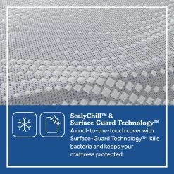 Memory Foam Sealy Crofton Firm Foam Mattress