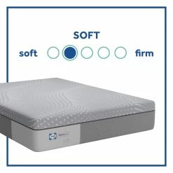 Memory Foam Sealy Crofton Firm Foam Mattress