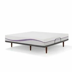 Purple Ascent Adjustable Base