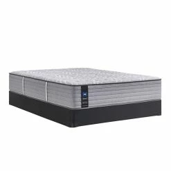 Best Pirce 🌟 Twin Sealy Shaldon Firm Mattress 🎁 5 Twin Sealy Shaldon Firm Mattress