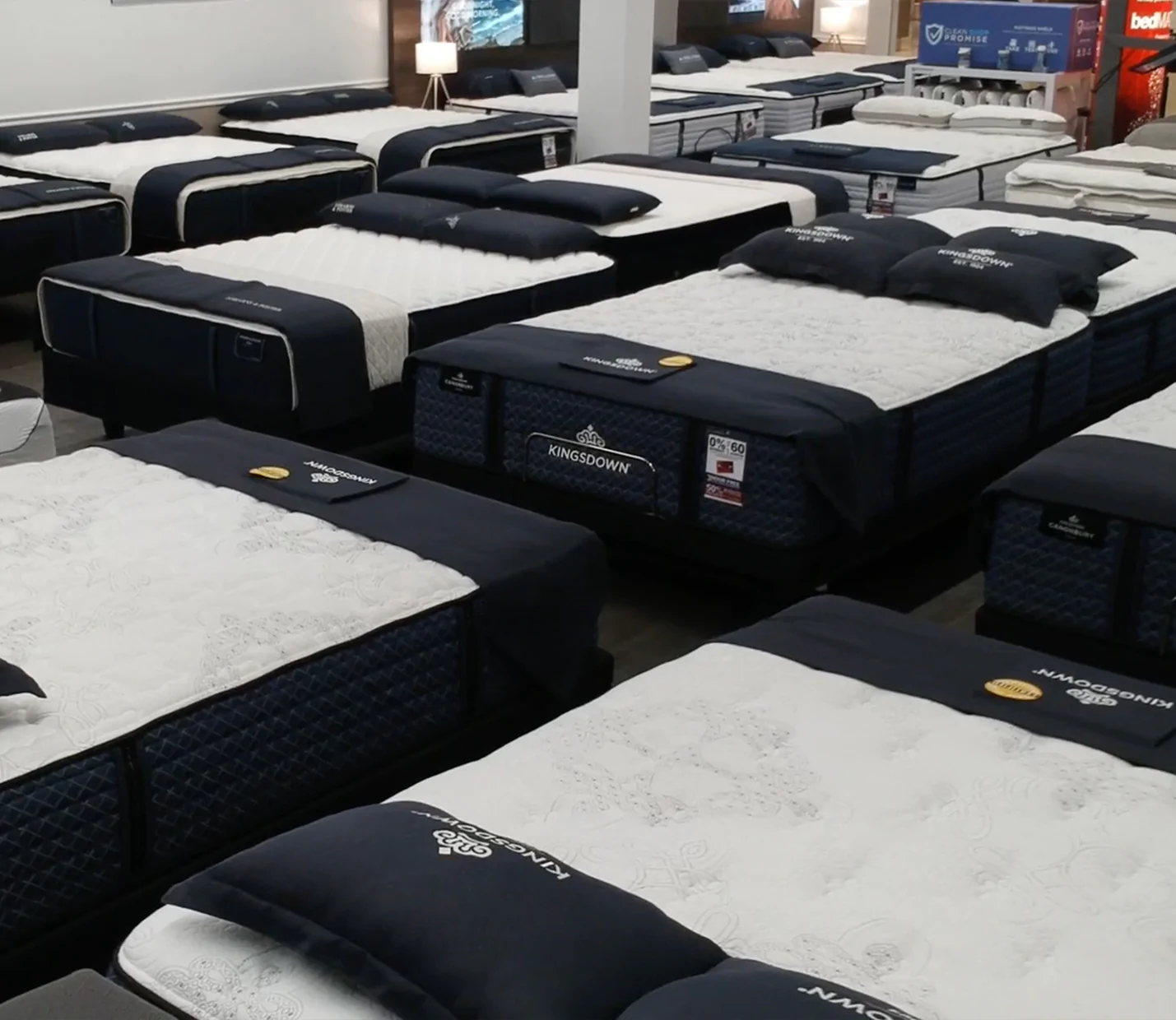 Mattress Warehouse Shop -Mattress Warehouse Shop 56456
